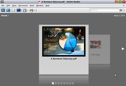 ="Adobe