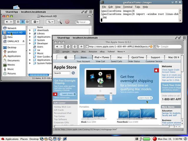 ="Safari